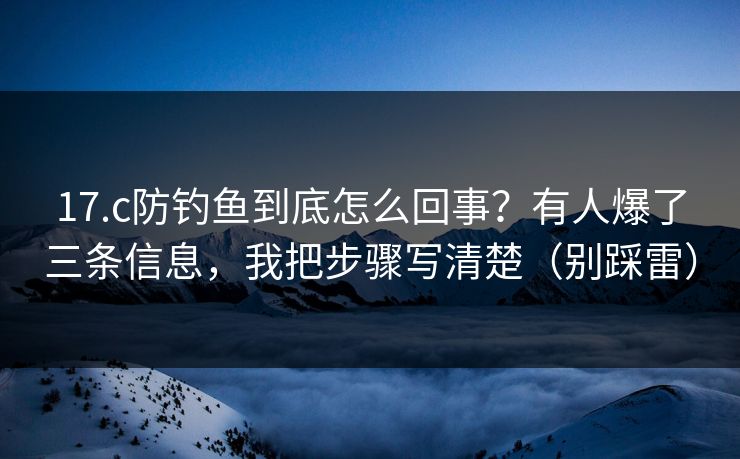 17.c防钓鱼到底怎么回事？有人爆了三条信息，我把步骤写清楚（别踩雷）