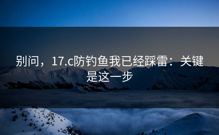 别问，17.c防钓鱼我已经踩雷：关键是这一步
