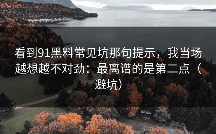 看到91黑料常见坑那句提示,我当场越想越不对劲:最离谱的是第二点(避坑) 看到91黑料常见坑那句提示,我当场越想越不对劲:最离谱的是第二点(避坑)