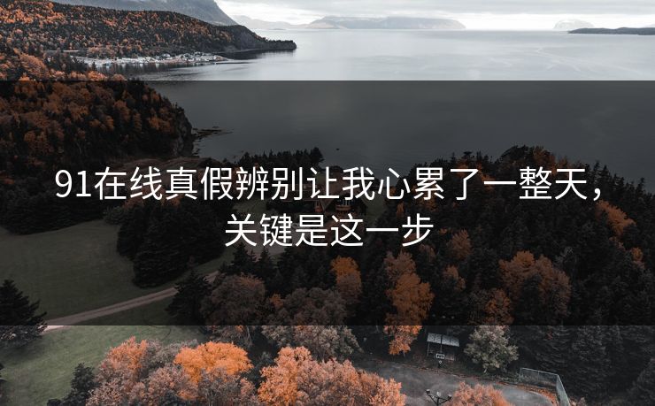 91在线真假辨别让我心累了一整天，关键是这一步