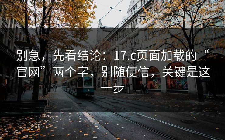 别急，先看结论：17.c页面加载的“官网”两个字，别随便信，关键是这一步
